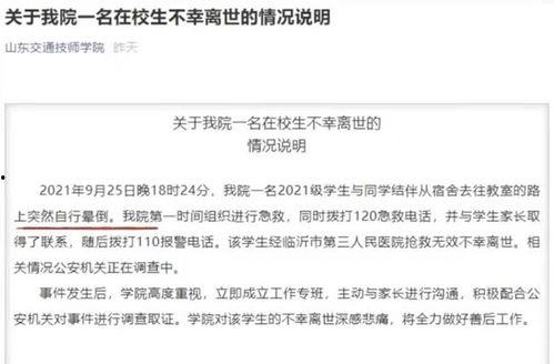 南京学校爆料案件真相视频,揭开校园疑云的真相