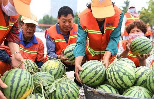 临沂网红吃捎瓜现场,挑战极限味蕾盛宴