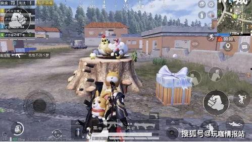 年兽僵尸爆料视频大全集,揭秘神秘生物的惊悚真相