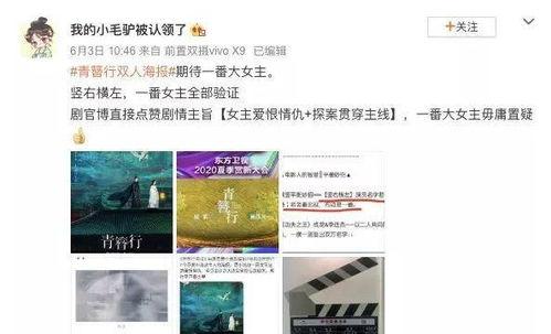 爆料娱乐圈资讯的小说,揭秘幕后爆料，揭开明星真实生活