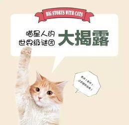 黄瓜猫吃瓜视频免费观看,免费畅享欢乐时光