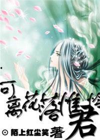 红尘名字爆料大全最新,最新爆料大全深度解析
