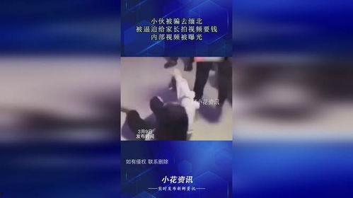 金钱爆料最新视频大全在线观看,最新视频大全精彩瞬间，一键在线观看  第2张