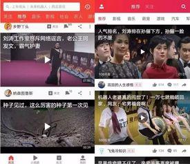 吃瓜事件爆料合集视频下载,揭秘网络热点背后的真相