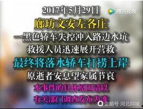 文安网友爆料视频最新版,揭秘事件真相