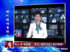 黑龙江十大爆料新闻视频,揭秘黑土地上的风云变幻 第3张 黑龙江十大爆料新闻视频,揭秘黑土地上的风云变幻 第3张