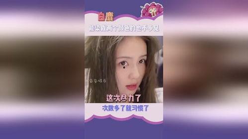 圈内人直播爆料白鹿视频,白鹿视频幕后故事大曝光  第3张