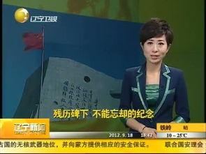 辽宁新闻爆料电话,揭露身边事,共建和谐家园 第3张 辽宁新闻爆料电话,揭露身边事,共建和谐家园 第3张