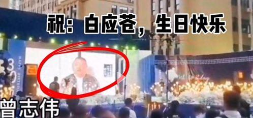 曾志伟爆料江湖视频,独家爆料视频曝光  第1张