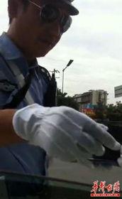 交警爆料行凶视频播放,行凶视频惊心动魄，现场还原惊险瞬间