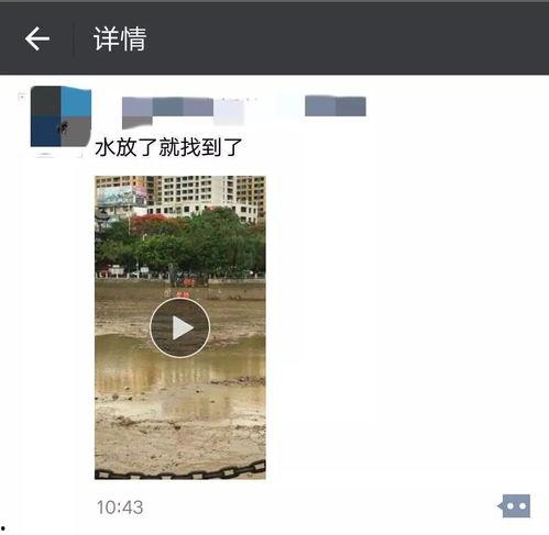 爆料死亡新闻最新视频大全,惊悚瞬间！最新死亡新闻视频大盘点  第1张