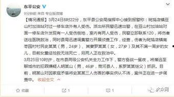 爆料灭门惨案视频播放,惊心动魄的生死瞬间