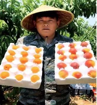 徐州新农人最新爆料,农业现代化新篇章背后的故事 第3张 徐州新农人最新爆料,农业现代化新篇章背后的故事 第3张