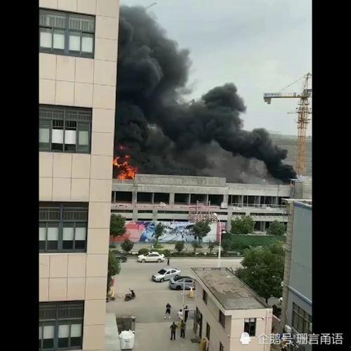 浙江台州最新爆料,揭秘台州神秘事件背后的真相  第2张