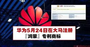 苏宁家乐福最新爆料新闻,揭秘转型背后的战略布局与市场动向  第3张