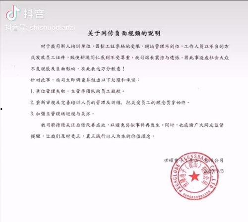 世硕电子公司今日爆料,揭秘企业真实面貌与未来动向  第2张
