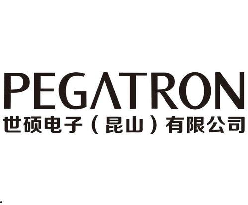 世硕电子公司今日爆料,揭秘企业真实面貌与未来动向  第3张