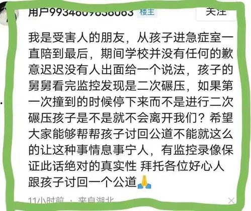 武汉最新爆料小学生事件,校园暴力悲剧引发社会关注  第3张