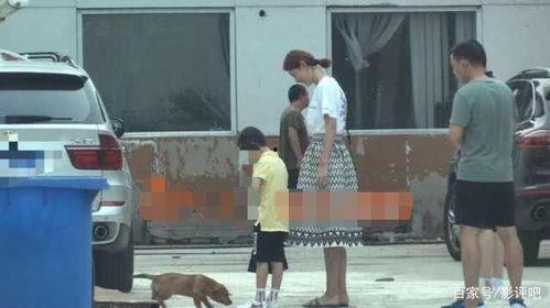 王子豪前女友爆料视频在线观看,揭秘背后惊人真相