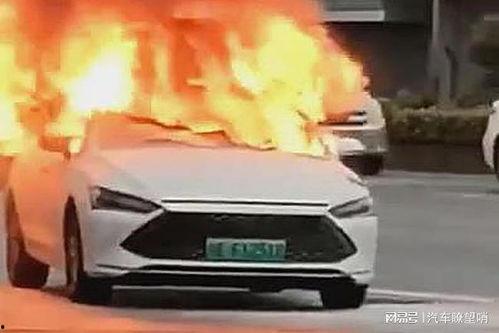女生爆料比亚迪自燃视频,女生爆料惊心动魄视频曝光