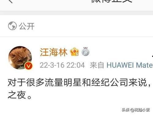 爆料娱乐圈的西瓜视频,西瓜视频揭秘明星幕后故事  第3张