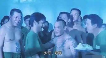 娱乐圈爆料鸟哥小说,揭秘鸟哥小说背后的真实故事  第3张