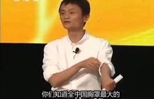 杨海波最新爆料,揭秘娱乐圈惊人内幕  第2张