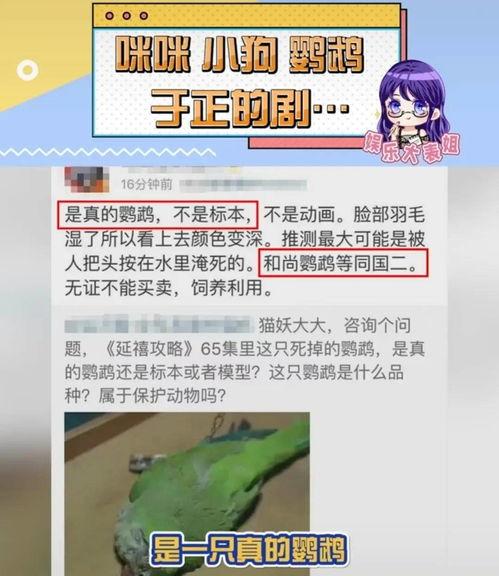 最新爆料珍爱生命视频,揭秘最新爆料视频背后的感人故事 第3张 最新爆料珍爱生命视频,揭秘最新爆料视频背后的感人故事 第3张