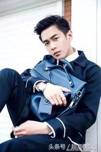 张若昀爆料养猫女孩视频,养猫女孩的温馨日常  第3张