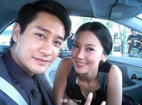 超pong在线观看,重温经典，体验指尖上的竞技魅力