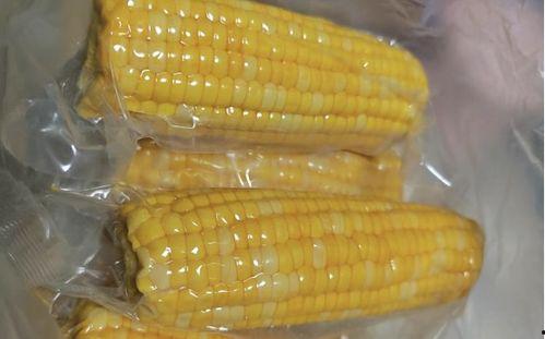 玉米最新爆料视频