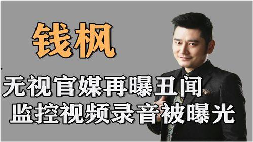 爆料怎样发录音视频,如何利用爆料轻松制作录音视频  第3张