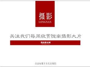 陇南新闻爆料台,聚焦民生热点，传递社会声音  第2张