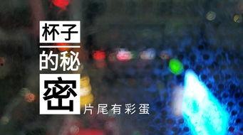 常州饭店爆料视频最新,揭秘酒店内部惊人真相! 第3张 常州饭店爆料视频最新,揭秘酒店内部惊人真相! 第3张