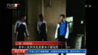 深圳老同学爆料视频最新,昔日同窗今何在? 第3张 深圳老同学爆料视频最新,昔日同窗今何在? 第3张