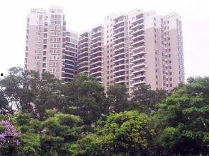 深圳石岩爆料事件最新情况,最新进展与调查动态揭晓 第2张 深圳石岩爆料事件最新情况,最新进展与调查动态揭晓 第2张