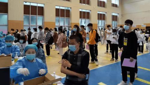 宁阳碧桂园爆料最新消息,揭秘项目进展与未来规划  第3张