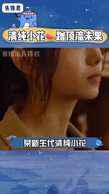 吃瓜热门娱乐播报台,揭秘娱乐圈最新动态，带你畅游娱乐世界